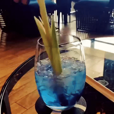 Butterfly Pea Tea