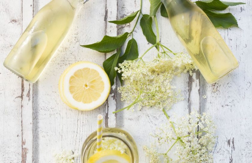 elderflower-chest-tightness