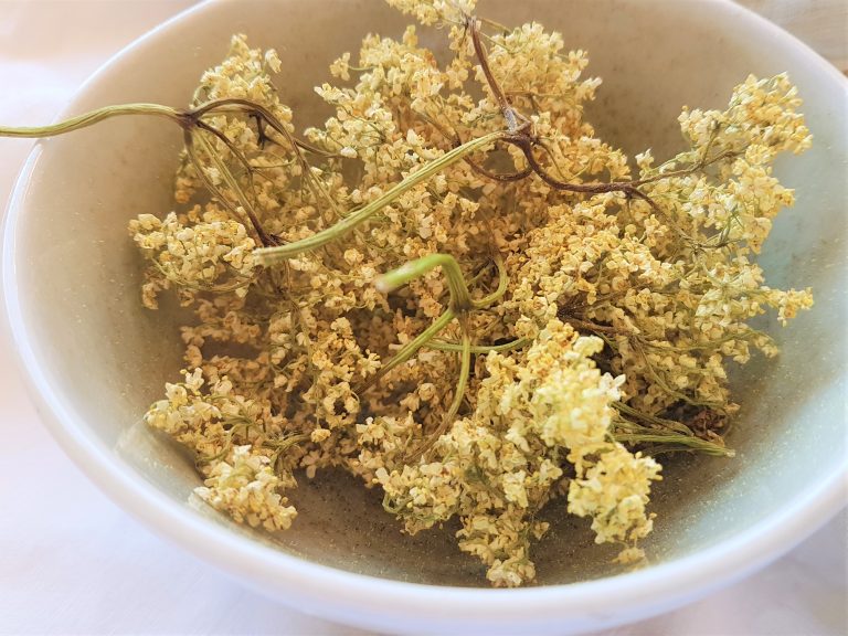 elderflower-dried