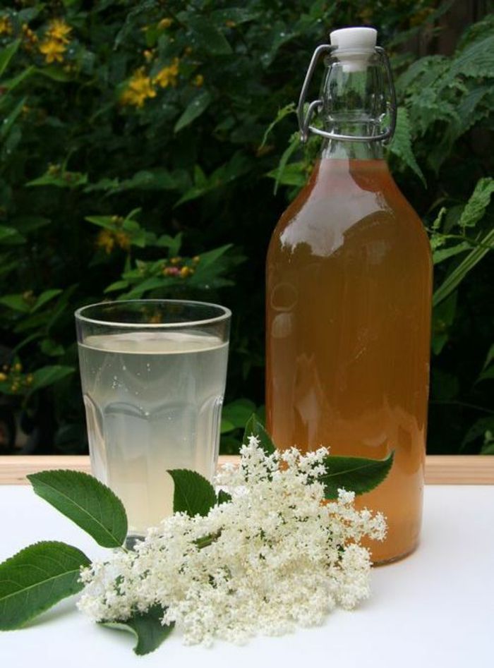 elderflower-tea-ideas