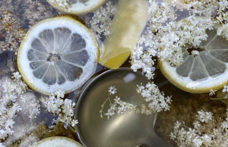 elderflower-tea-with-lemon