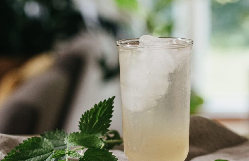 nettle-tea