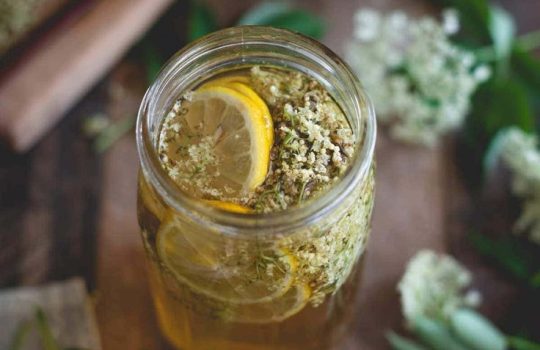 elderflower-tea