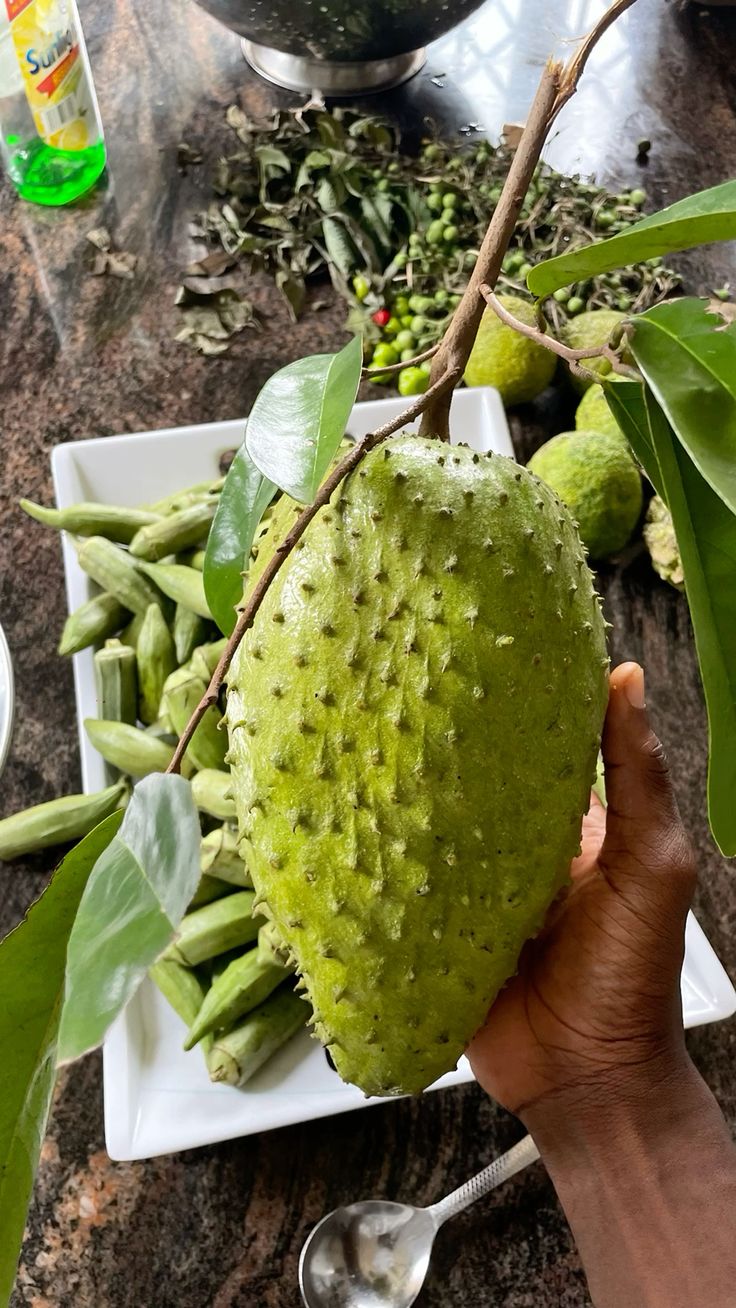 soursop-fruit
